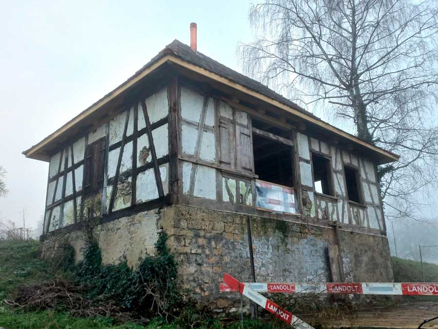 dendrochronologie_schuetzenhaus_2_900